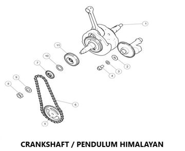 CRANKSHAFT / PENDULUM HIMALAYAN