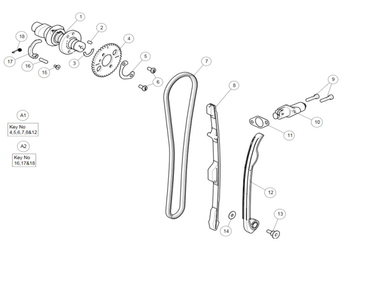 DISTRIBUTION HIMALAYAN