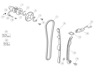 DISTRIBUTION HIMALAYAN