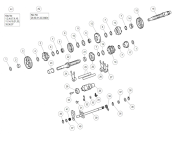 TRANSMISSION HIMALAYAN